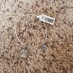Alex and ani bracelet